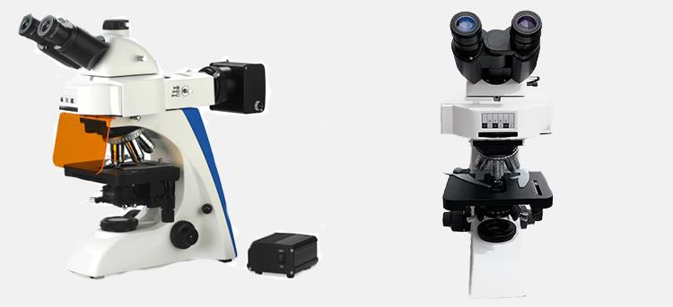 BK6000-FL2LED fluorescence microscopy LED fluoresent microscopy