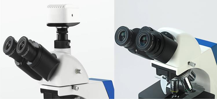 China professional LED fluorescence microscope
