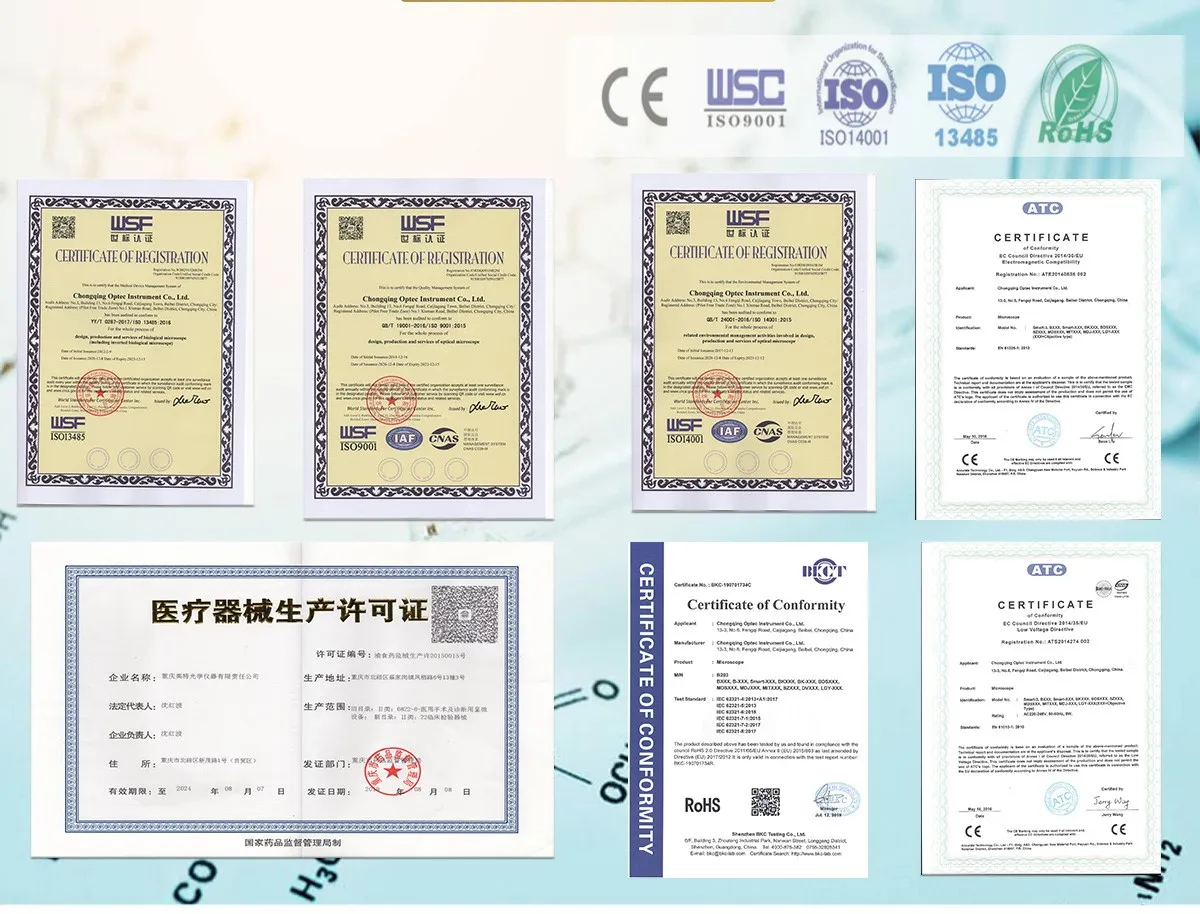 certificate certificate