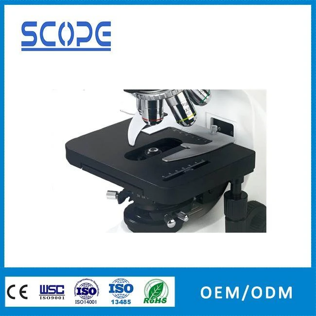 LED light source fluorescence microscope made in China