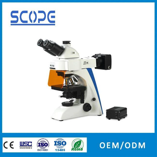 bk6000-fl led light source fluorescence microscope for sale